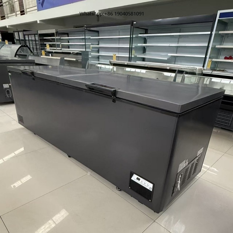 Commercial Double Door Horizon - Commercial Chest Freezer ulasan dan harga